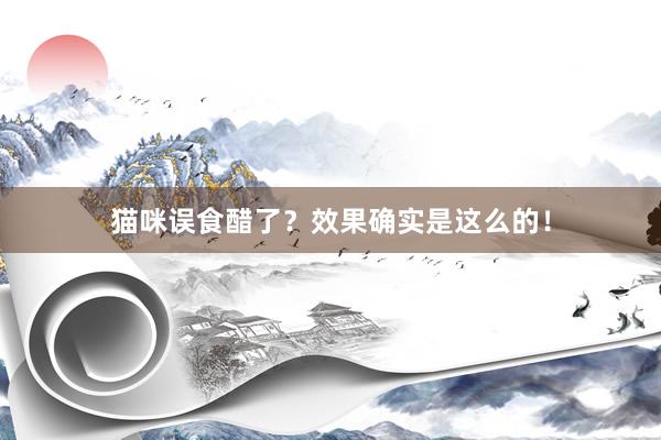 猫咪误食醋了？效果确实是这么的！